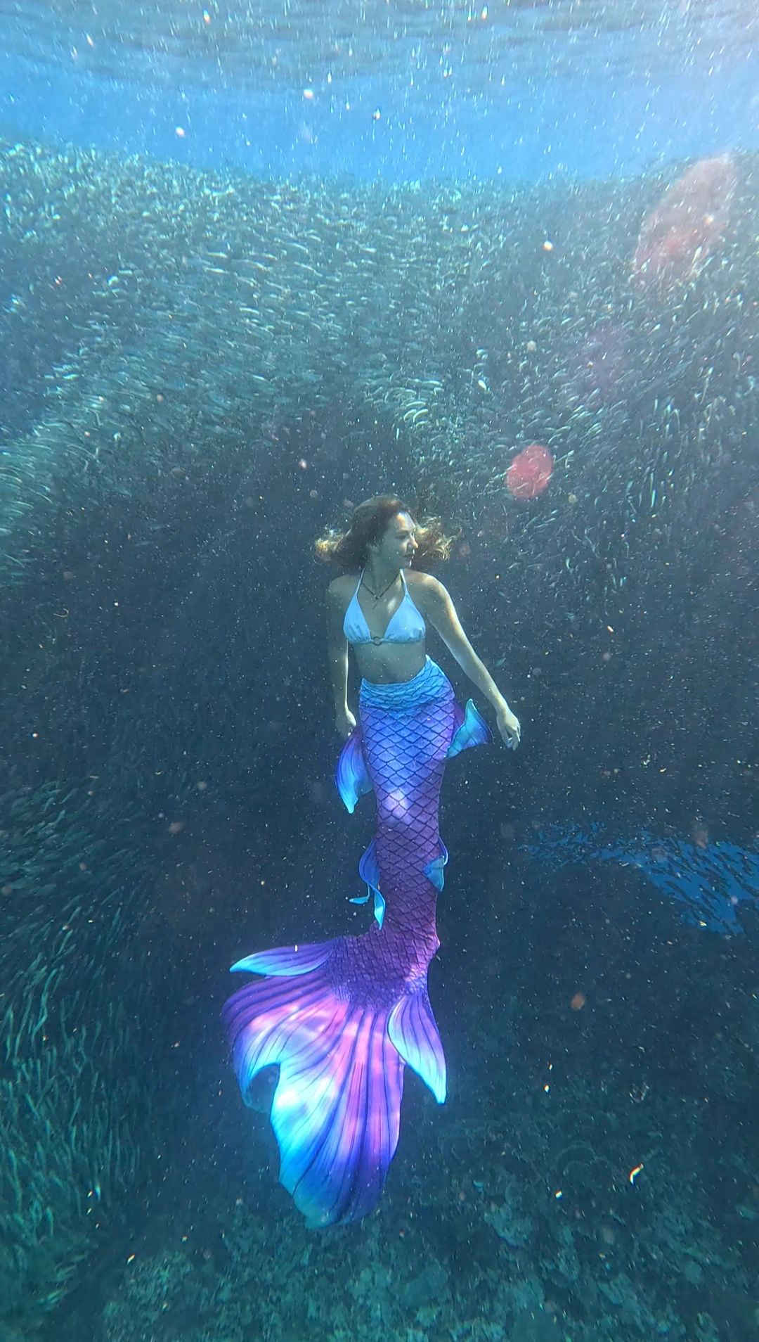Mermaid with Sardines